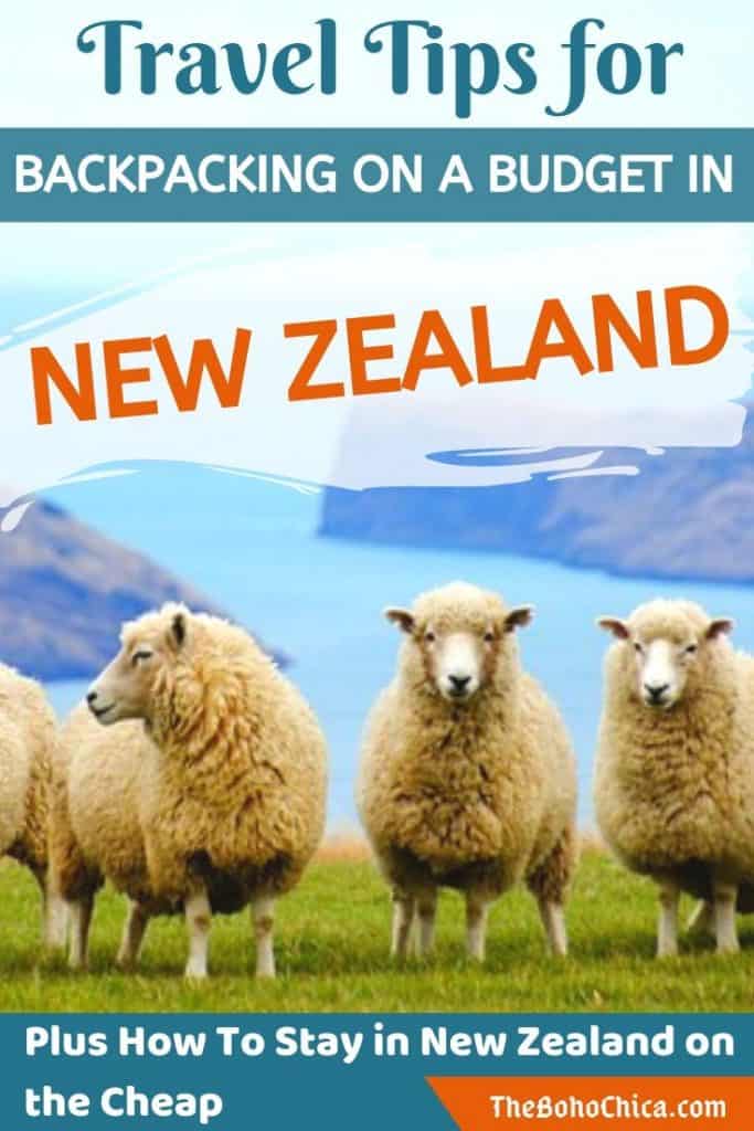 Thinking about backpacking in New Zealand? Use these travel tips to help you visit this incredible country on a budget, from how to stay on a budget, where to go and how to get around.