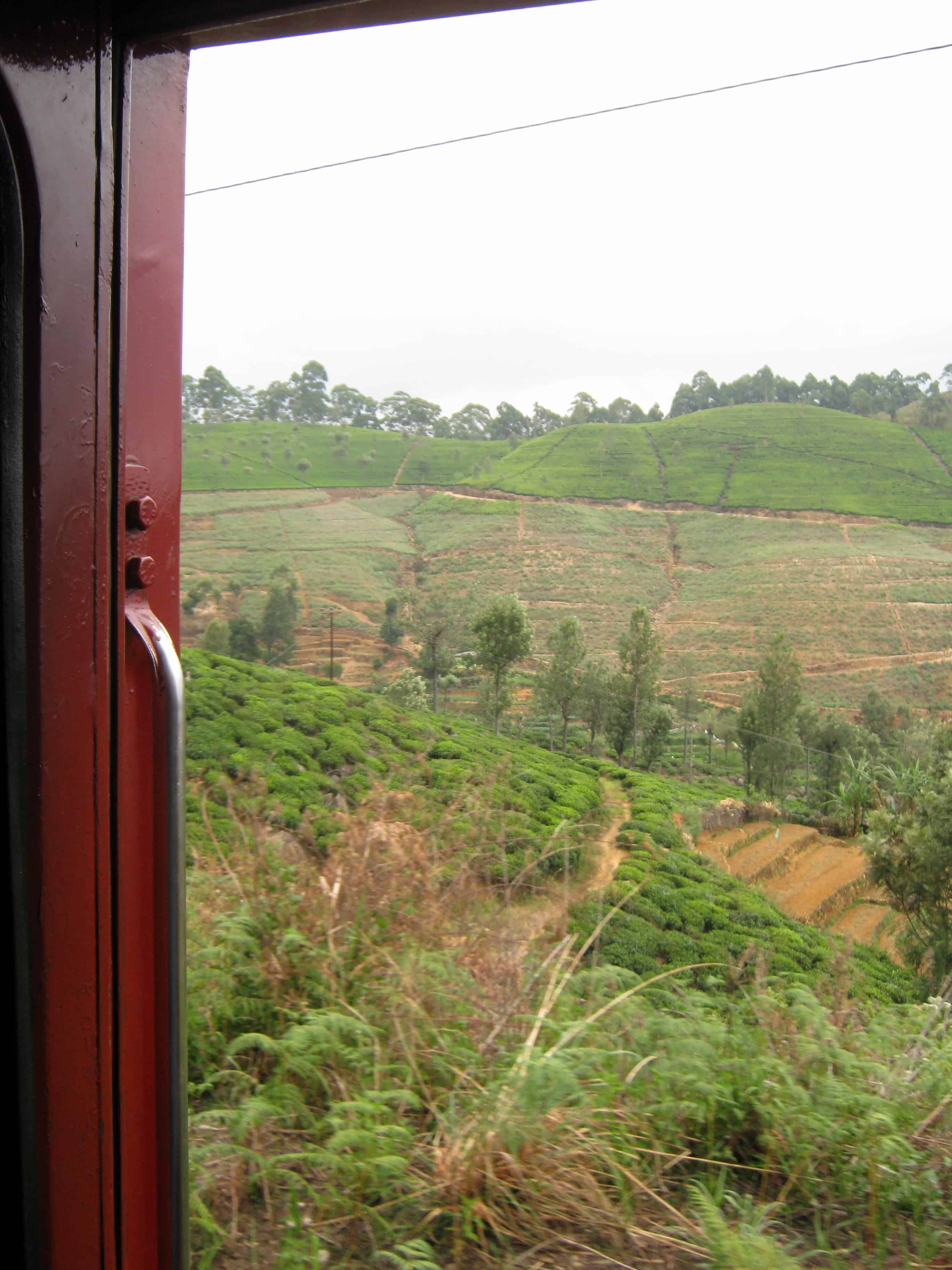 Train to Ella Sri Lanka