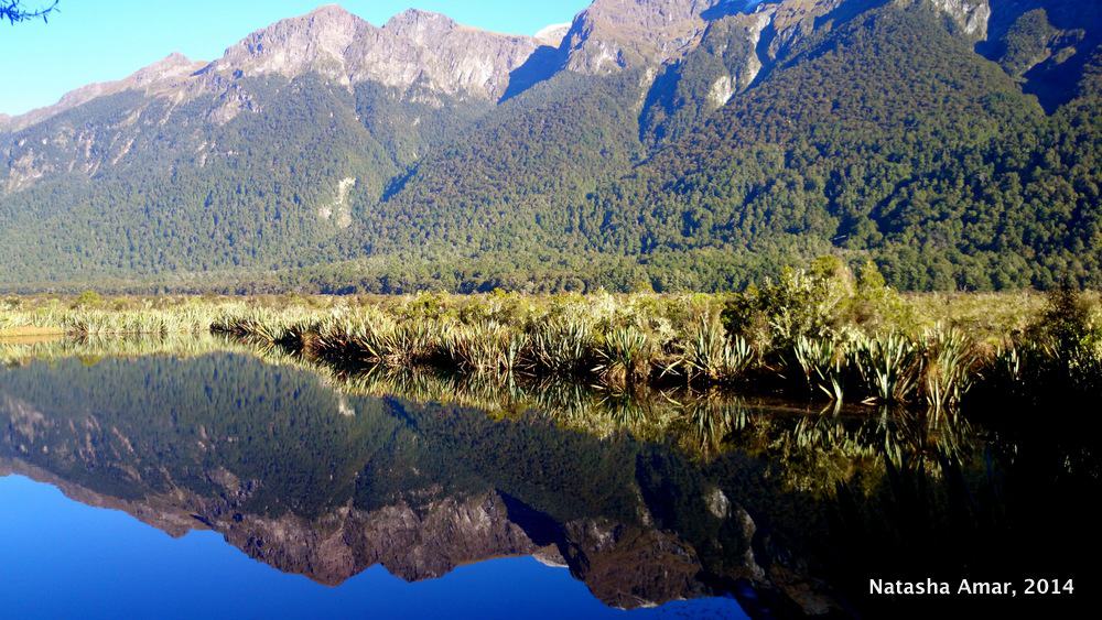 Mirror Lakes- milford sound pictures