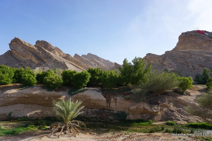 Green Mubazzarah Jebel Hafeet