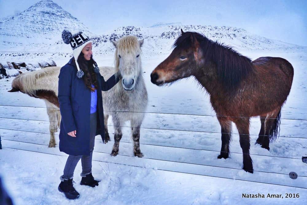 10 Secrets About Visiting Iceland in Winter