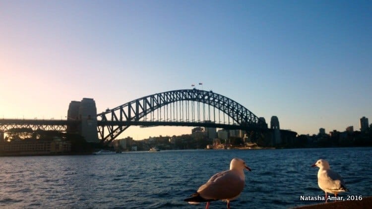 What to do in Sydney for 4 days: