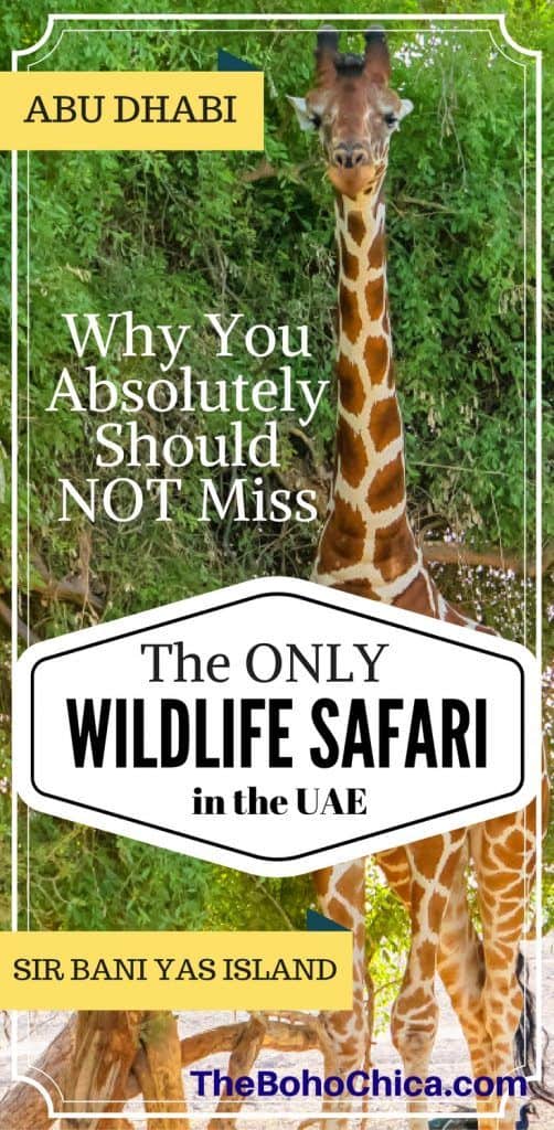 Why You Absolutely Should Not Miss a Trip to the UAE's only Wildlife Safari Sanctuary on Sir Bani Yas Island