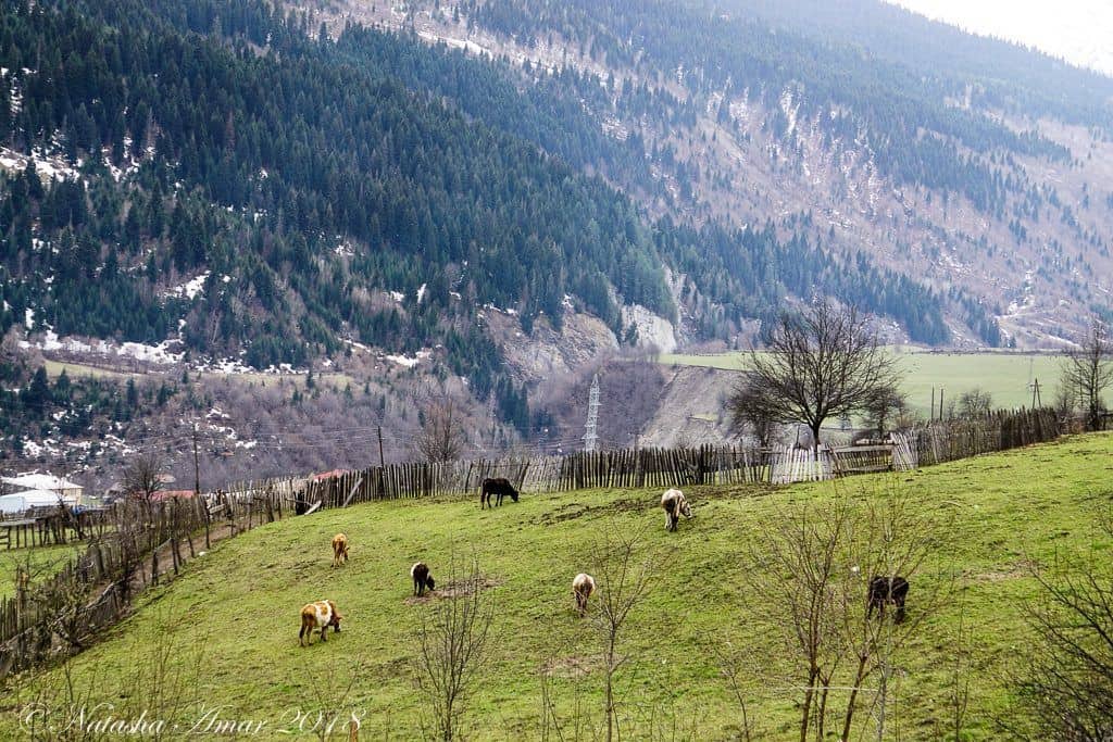  Mestia, Svaneti Georgia