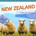Thinking about backpacking in New Zealand? Use these travel tips to help you visit this incredible country on a budget, from how to stay on a budget, where to go and how to get around.
