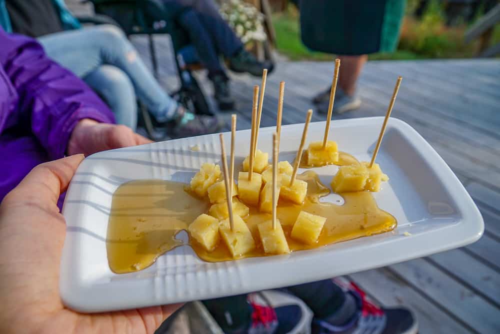 A Taste of the Arctic in Swedish Lapland: Cheese drizzled with vegan honey