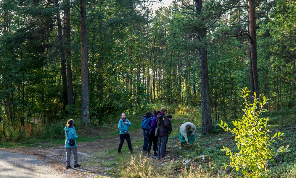 A Taste of the Arctic in Swedish Lapland: Eva offers foraging walks through the forest