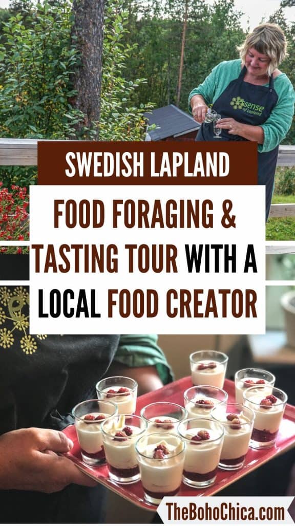 A Taste of the Arctic in Swedish Lapland: In Jokkmokk, north of the Arctic Circle in Swedish Lapland, a food creator shares secrets of SÃ¡mi food traditions through songs, stories & homecooking. #swedishlapland #jokkmokk