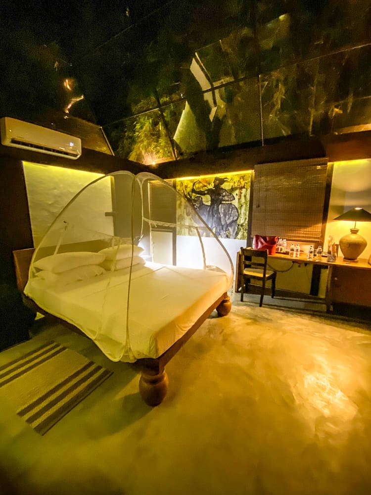 Diyabubula: Stay in a Glass-Roofed Villa At This Eco Lodge in Sri Lanka 