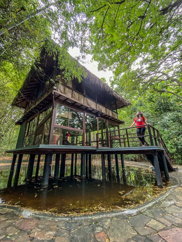 Diyabubula: Stay in a Glass-Roofed Villa At This Eco Lodge in Sri Lanka 