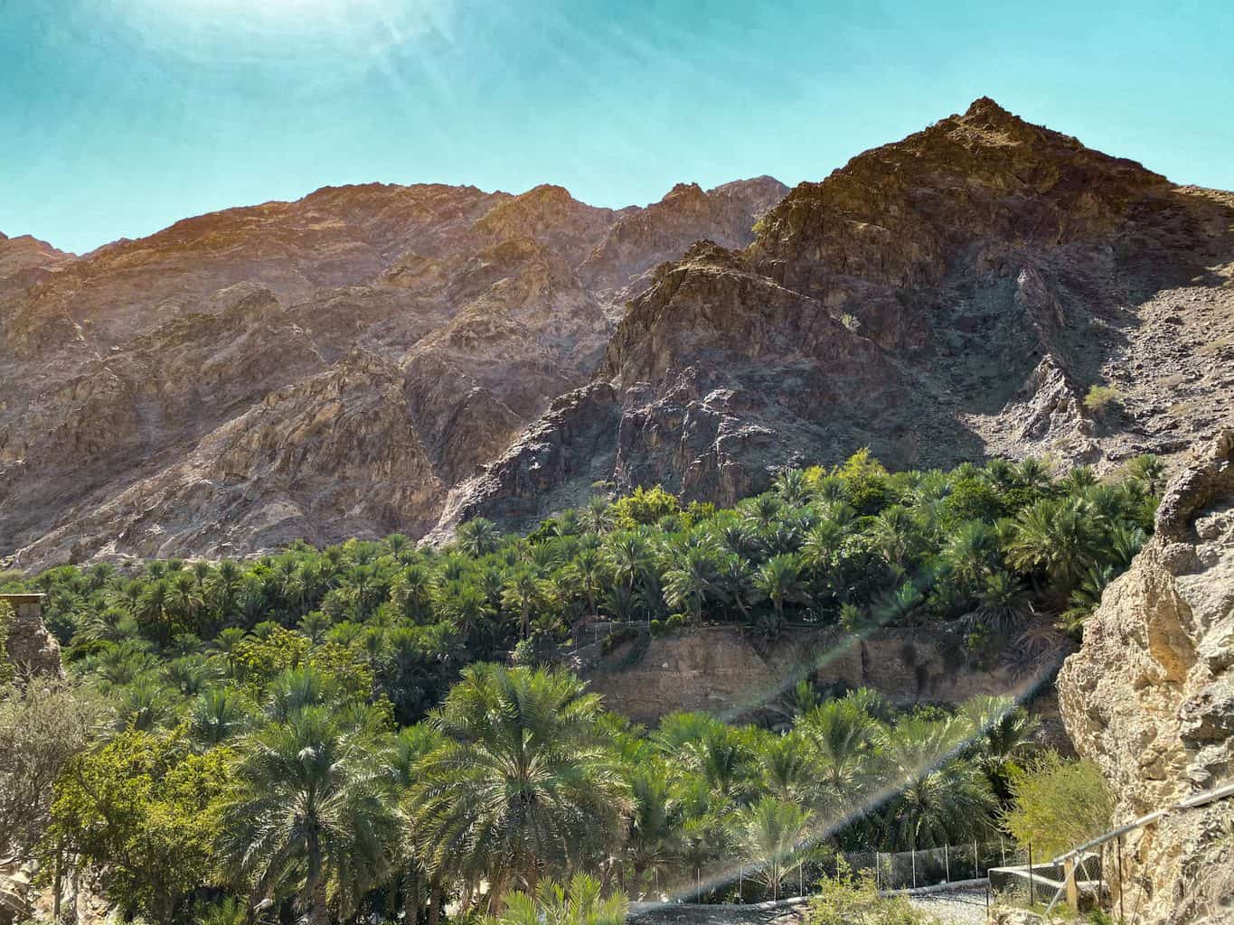 Views of palm trees and farms in the village on the Wadi Shees Nature Trail