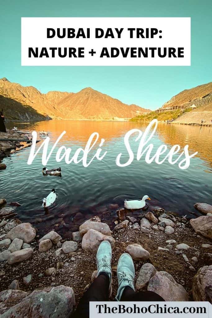 Located in the Hajar Mountains, Wadi Shees, a 90-minute drive from Dubai, offers an oasis nature trail and a chance to kayak in azure waters. 