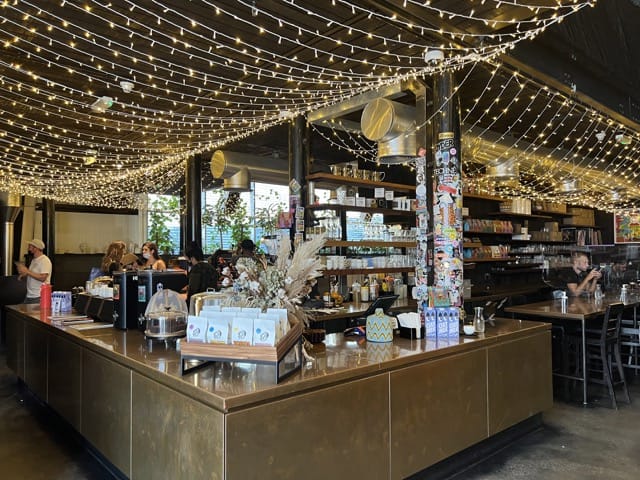 A photo of a cafe counter with staff and customers, fairy lights hang in rows from the ceiling