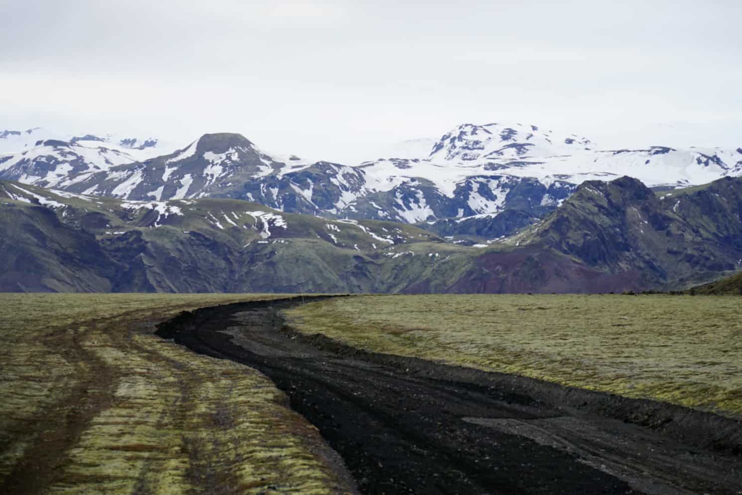 A road in Iceland with moss on both sides leading to snowy mountains