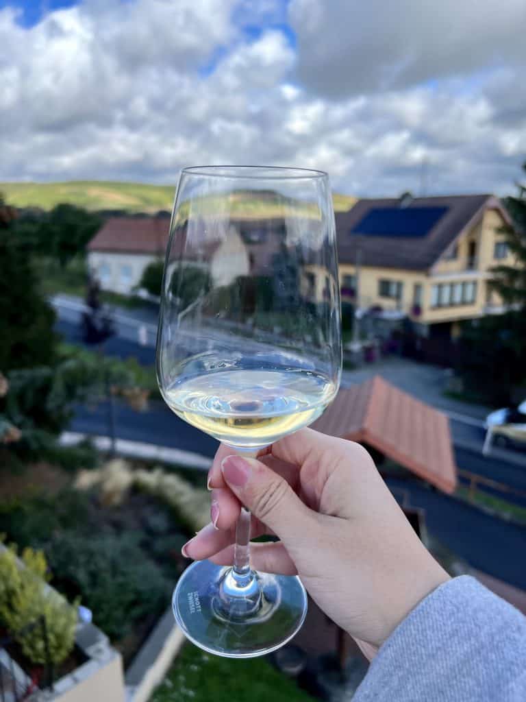 A close up of a glass of white wine held against the blurry backdrop of a village with cream and yellow houses and red roofs. Behind them are rolling hills. 