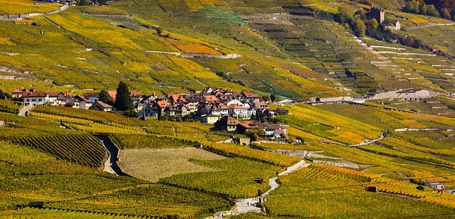 A wine village surrounded by the terraced vineyards of Lavaux