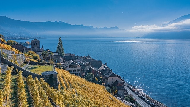 Terraced vineyards of Lavaux, with their wine villages and medieval towers overlooking the blue waters of Lake Geneva. In the distance are the shadowy Swiss Alps. 